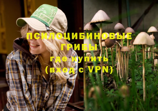 спайс Армянск