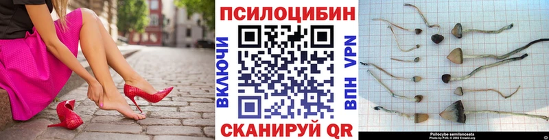 Галлюциногенные грибы Cubensis  Михайловск 